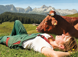 Bergbauernmilch Relaunch