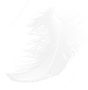Frühstücksmilch Feder 3