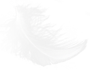 Frühstücksmilch Feder 1